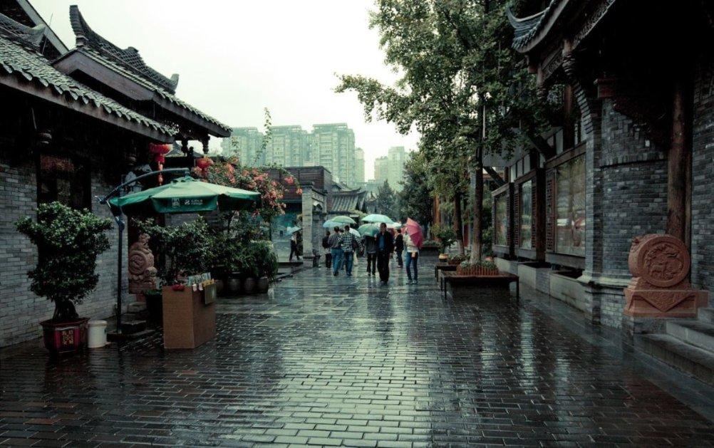 肯尼亚马赛马拉遇大雨天气 狮子抖动鬃毛非常惬意